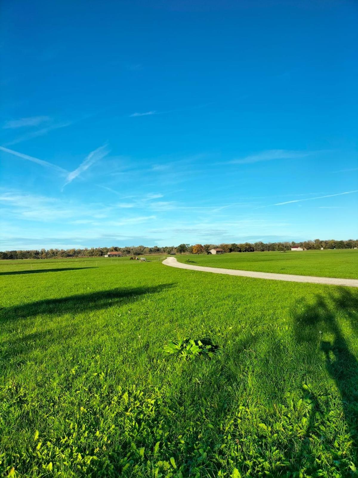 Feriennest Chiemseeglück Übersee Exterior foto